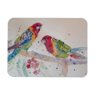 Íman Cute Rosella Parrots bird Watercolor Art Magnet