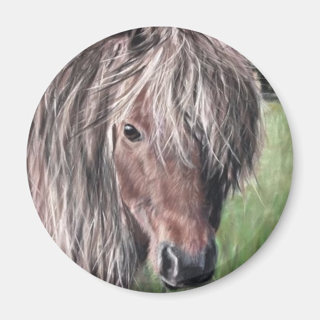 Íman Cute Shetland Pony (Frente)