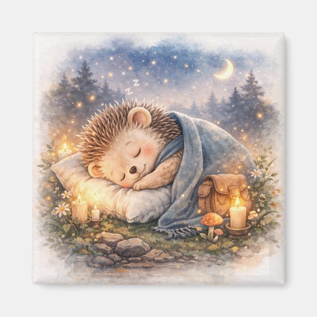 Íman Cute Sleeping Hedgehog  Fridge (Frente)