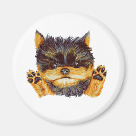 Íman Cute Yorkie Puppy