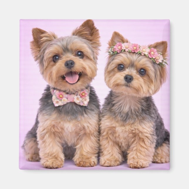 Íman Cute Yorkshire Terrier Couple Valentine Magnet (Frente)