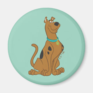 Íman Cutro De Scooby-Doo Que Bonito