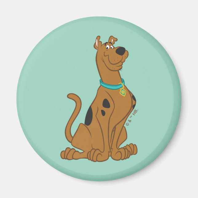 Íman Cutro De Scooby-Doo Que Bonito (Frente)