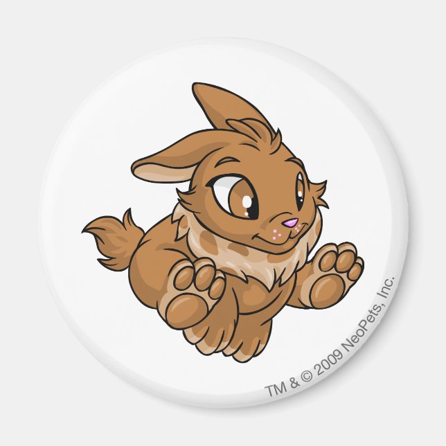 Íman Cybunny Brown (Frente)