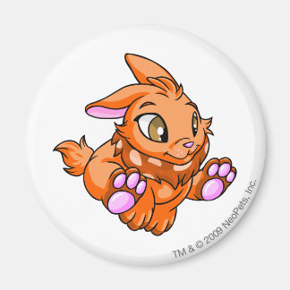 Íman Cybunny Orange