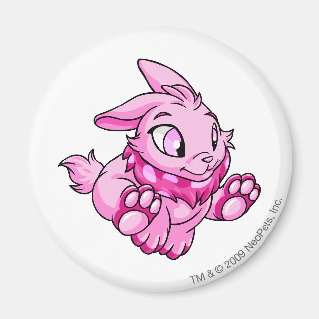 Íman Cybunny Pink (Frente)
