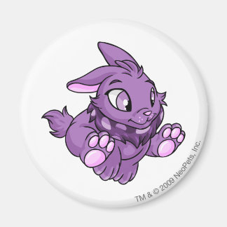 Íman Cybunny Purple
