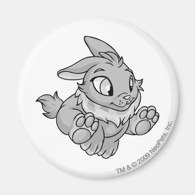 Íman Cybunny Silver (Frente)