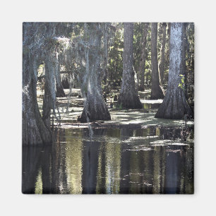 Íman Cypress Cálida