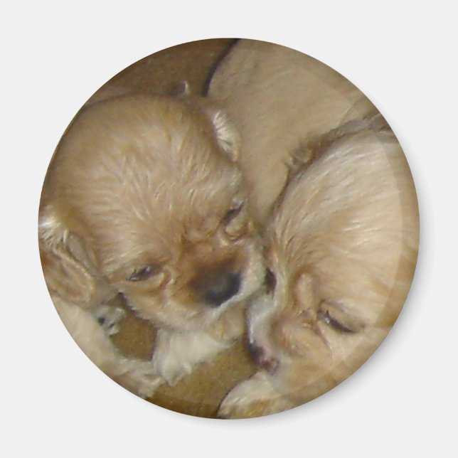 Íman Dá-me um beijo (Frente)