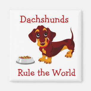 Íman Dachshances Governam o Magnetinho do Copo