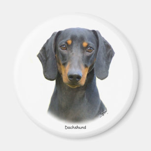 Íman Dachshund