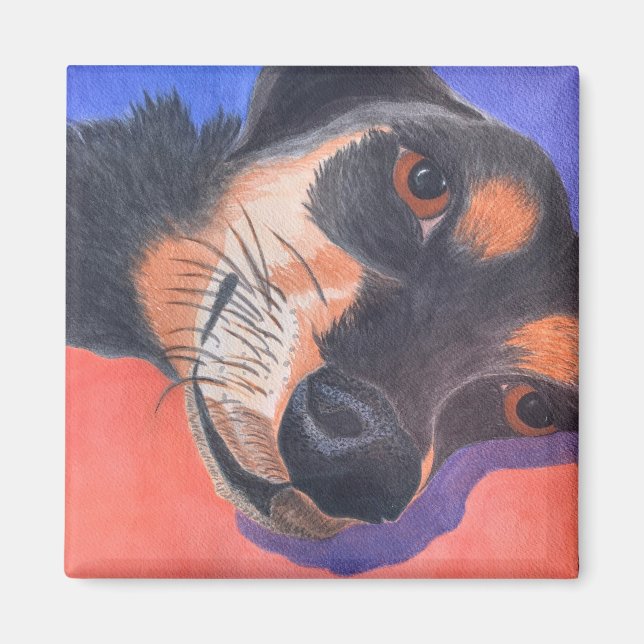 Íman Dachshund (Frente)