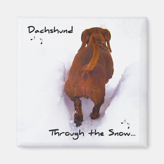 Íman Dachshund Através Da Neve Piscando Pela Neve (Frente)
