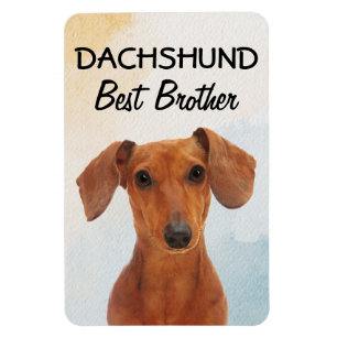 Íman Dachshund Best Brother Magnet
