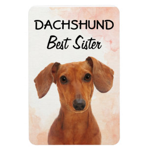 Íman Dachshund Best Sister Magnet