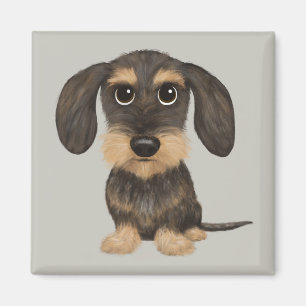 Íman Dachshund Cão de Cartoon Bonito Teckel