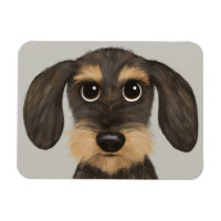 Dachshund| Cão de Cartoon Bonito Teckel