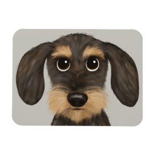Íman Dachshund Cão de Cartoon Bonito Teckel
