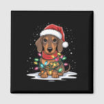 Íman Dachshund Christmas Lights Santa Hog Lover Hol<br><div class="desc">Feriado de Natal Dachshund Luzes de Papai Noel Feriado</div>