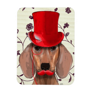 Íman Dachshund Com Chapéu Vermelho Superior