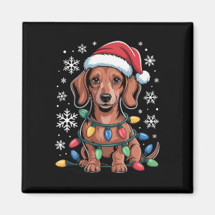 Íman Dachshund Com Papai Noel Envolvido Na Luz De Natal