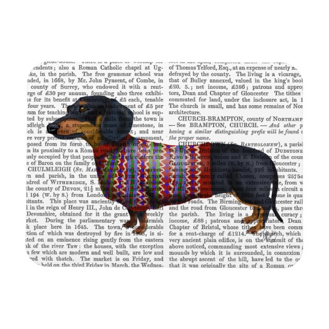 Íman Dachshund Com Sweater Wooly (Horizontal)