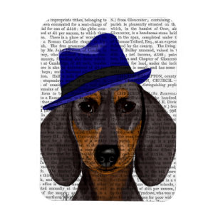 Íman Dachshund Com Trilho Azul