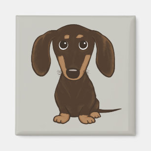 Íman Dachshund de Chocolate Cortado Cachorro-protetor