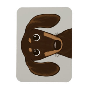 Íman Dachshund de Chocolate Cortado Cachorro-protetor