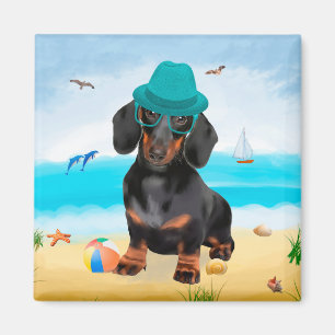 Íman Dachshund Dog em Beach