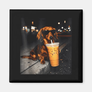 Íman Dachshund engraçado bebendo café gelado meme de ca