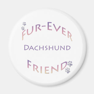 Íman Dachshund Fuore