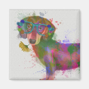 Íman Dachshund & Glass Rainbow Splash