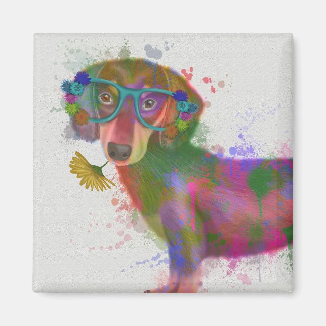 Íman Dachshund & Glass Rainbow Splash (Frente)