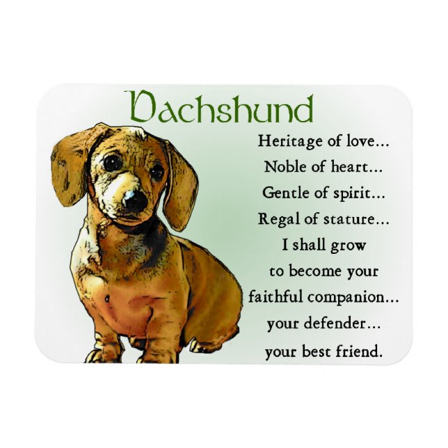 Íman Dachshund Heritage of Love (Horizontal)