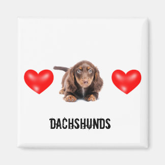 Íman Dachshund Magnet
