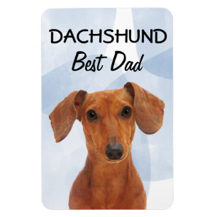 Íman Dachshund Melhor Magnet Pai