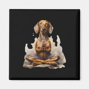 Íman Dachshund Muay Thai Boxe Caratê Kickboxing Marti