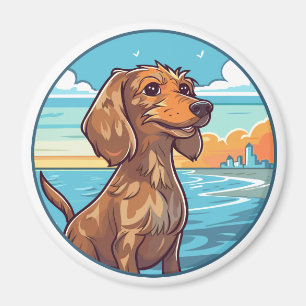Íman Dachshund na praia