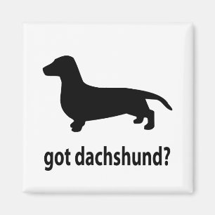 Íman Dachshund obtido