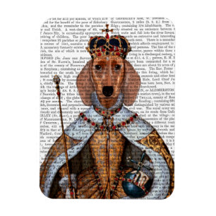 Íman Dachshund Queen 2