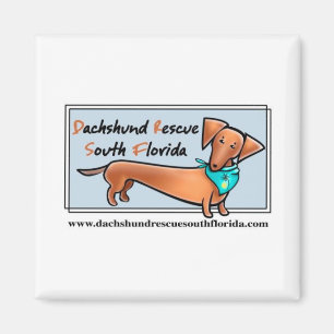 Íman Dachshund Rescue Sul da Flórida