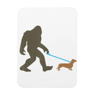 Íman Dachshund Sasquatch Doxie Dog Gift Andando Pé Gra