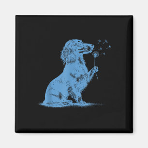 Íman Dachshund soprando desejos de dandelion amante de