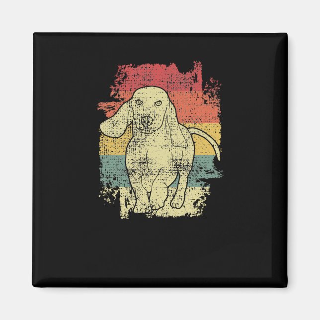 Íman Dachshund Vintage (Frente)