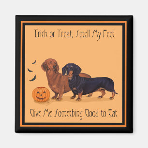 Íman Dachshunds Halloween