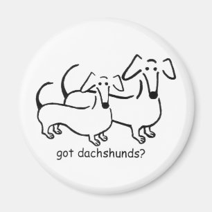 Íman dachshunds obtidos? Ímã