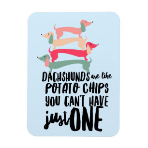 Íman Dachshunds são como Batatas Fritas 3"x4"Foto Ímã