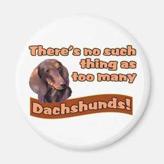 ÍMAN DACHSHUNS